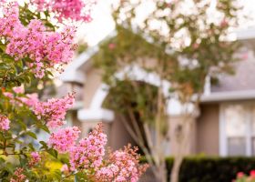 Vorschaubild - Gartenpflege Schreip